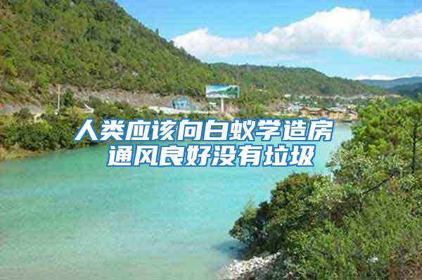 人類應該向白蟻學造房 通風良好沒有垃圾