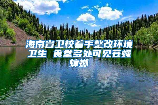 海南省衛(wèi)校著手整改環(huán)境衛(wèi)生 食堂多處可見(jiàn)蒼蠅蟑螂
