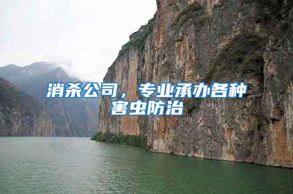 消殺公司，專業承辦各種害蟲防治