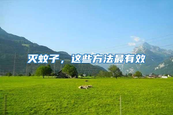 滅蚊子，這些方法最有效
