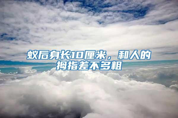 蟻后身長10厘米，和人的拇指差不多粗