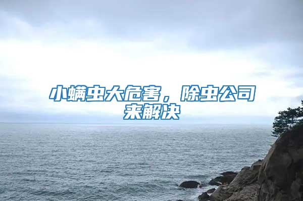 小螨蟲大危害，除蟲公司來解決