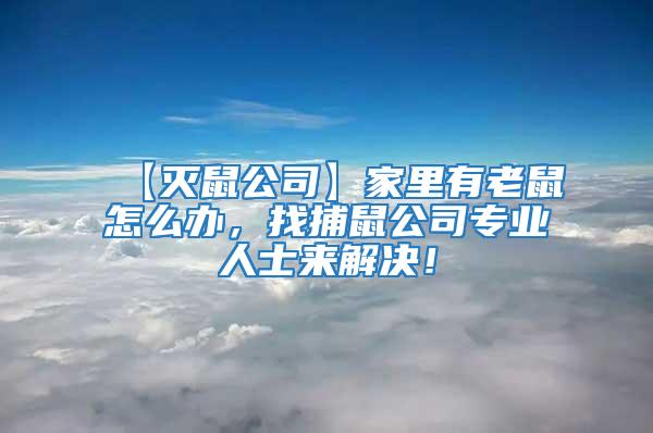 【滅鼠公司】家里有老鼠怎么辦，找捕鼠公司專業(yè)人士來解決！