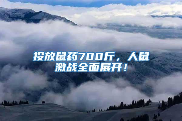 投放鼠藥700斤，人鼠激戰全面展開！