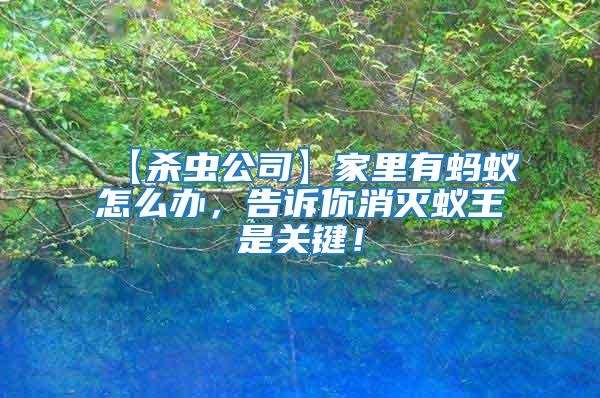 【殺蟲公司】家里有螞蟻怎么辦，告訴你消滅蟻王是關(guān)鍵！