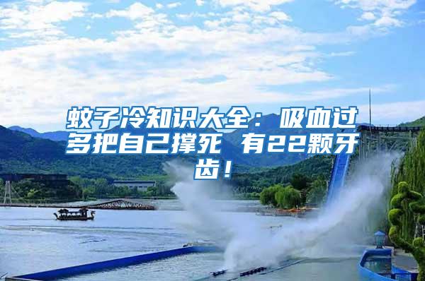 蚊子冷知識大全：吸血過多把自己撐死 有22顆牙齒！