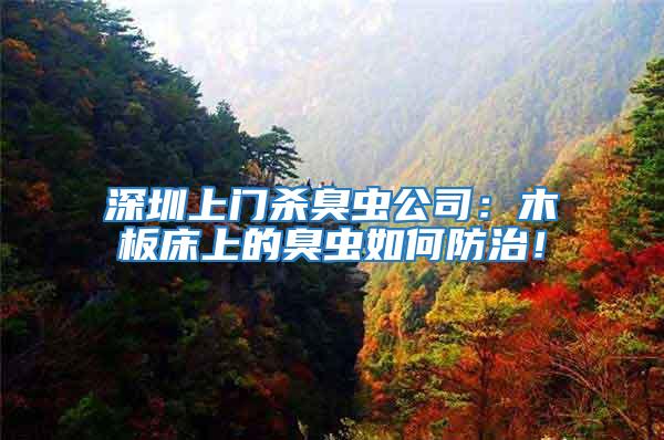 深圳上門殺臭蟲公司：木板床上的臭蟲如何防治！