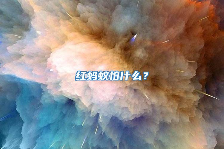 紅螞蟻怕什么？