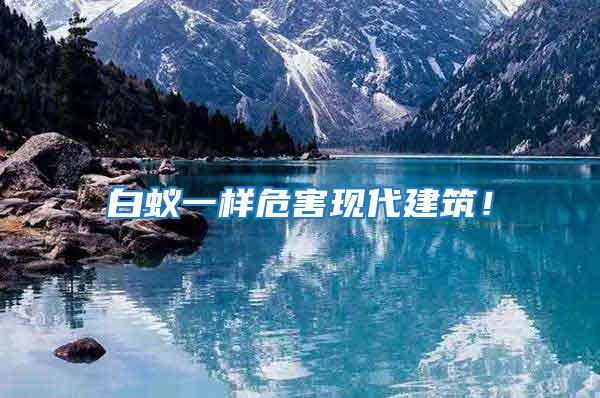 白蟻一樣危害現(xiàn)代建筑！
