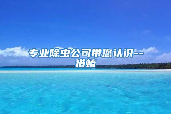 專業除蟲公司帶您認識--獵蝽