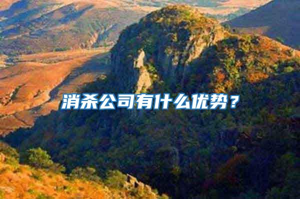 消殺公司有什么優(yōu)勢？
