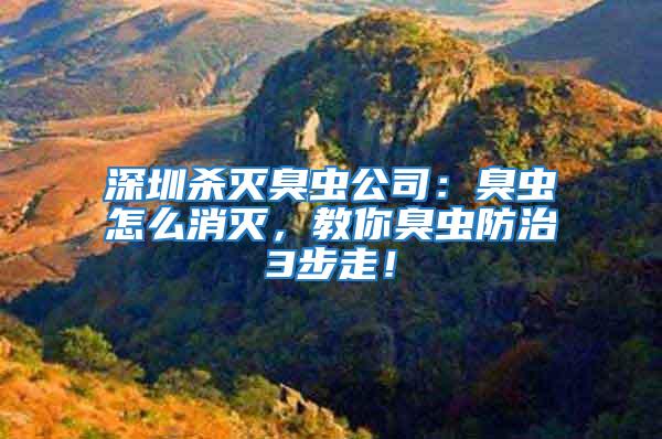 深圳殺滅臭蟲公司：臭蟲怎么消滅，教你臭蟲防治3步走！