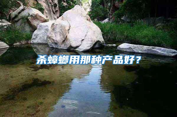 殺蟑螂用那種產品好？