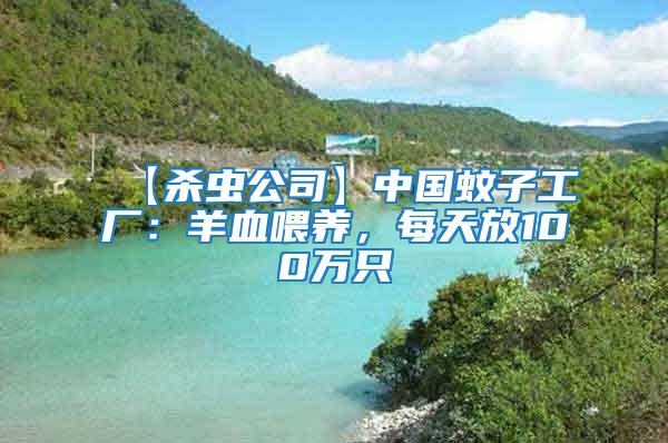 【殺蟲公司】中國蚊子工廠：羊血喂養，每天放100萬只
