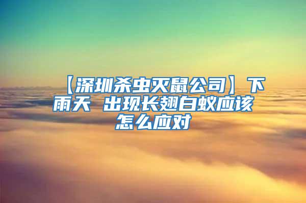 【深圳殺蟲滅鼠公司】下雨天 出現長翅白蟻應該怎么應對