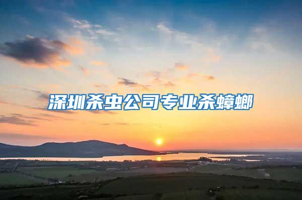 深圳殺蟲公司專業(yè)殺蟑螂
