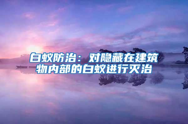 白蟻防治：對隱藏在建筑物內部的白蟻進行滅治