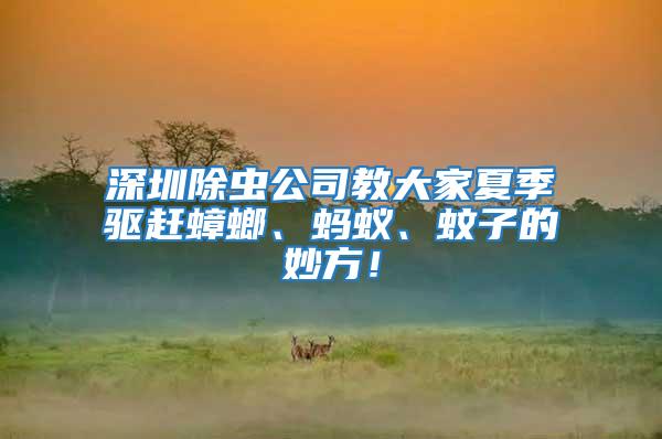 深圳除蟲公司教大家夏季驅(qū)趕蟑螂、螞蟻、蚊子的妙方！