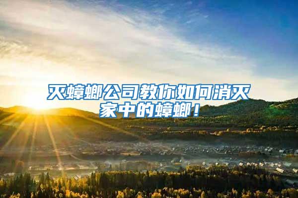 滅蟑螂公司教你如何消滅家中的蟑螂！