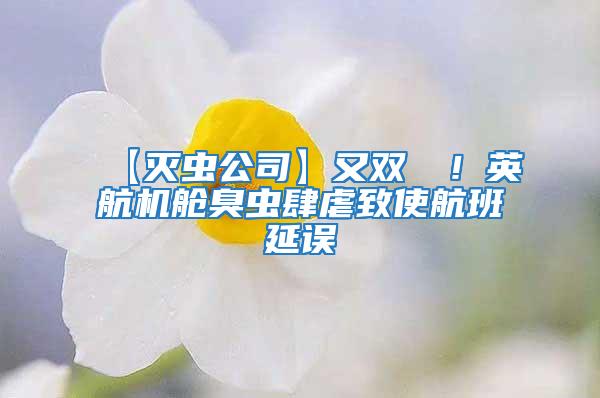 【滅蟲(chóng)公司】又雙叒叕！英航機(jī)艙臭蟲(chóng)肆虐致使航班延誤