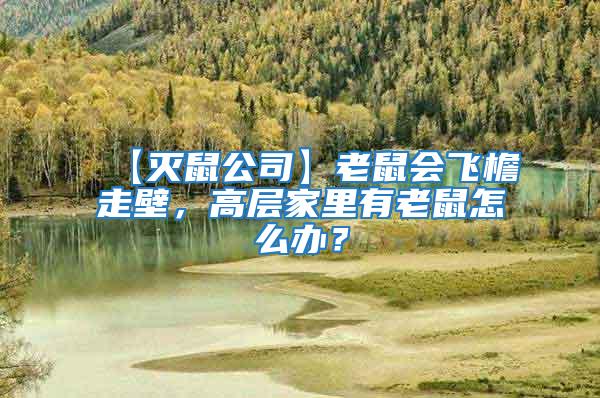 【滅鼠公司】老鼠會飛檐走壁，高層家里有老鼠怎么辦？