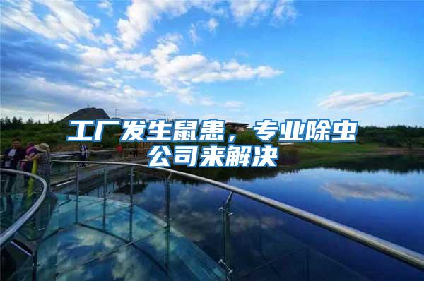工廠發生鼠患，專業除蟲公司來解決