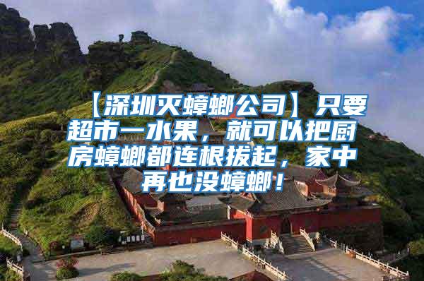 【深圳滅蟑螂公司】只要超市一水果，就可以把廚房蟑螂都連根拔起，家中再也沒蟑螂！