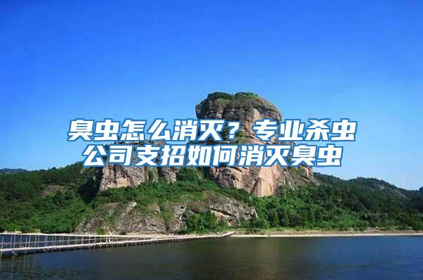 臭蟲怎么消滅？專業殺蟲公司支招如何消滅臭蟲