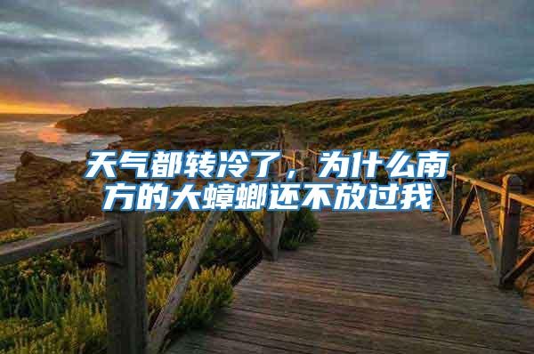 天氣都轉(zhuǎn)冷了，為什么南方的大蟑螂還不放過(guò)我
