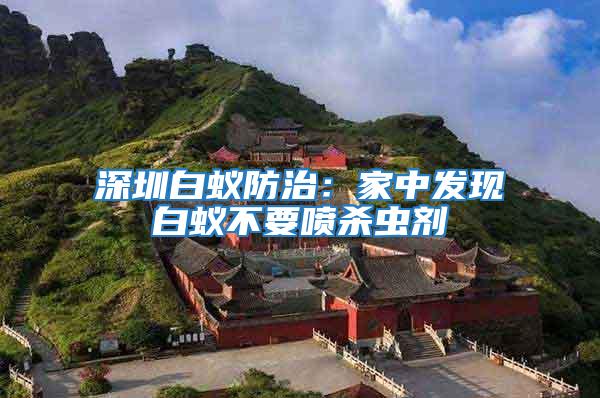 深圳白蟻防治：家中發現白蟻不要噴殺蟲劑