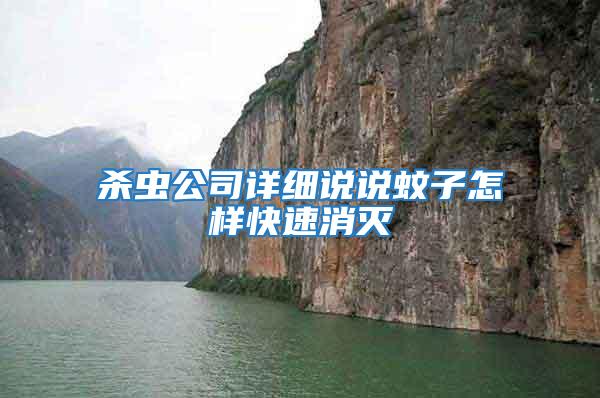 殺蟲公司詳細(xì)說說蚊子怎樣快速消滅