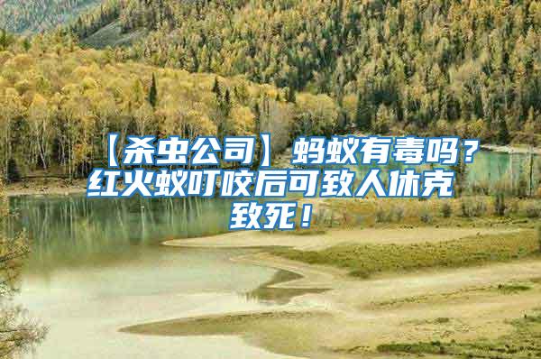 【殺蟲公司】螞蟻有毒嗎？紅火蟻叮咬后可致人休克致死！