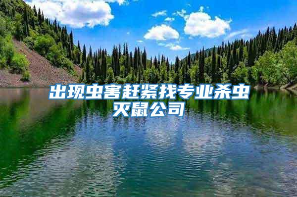 出現蟲害趕緊找專業殺蟲滅鼠公司