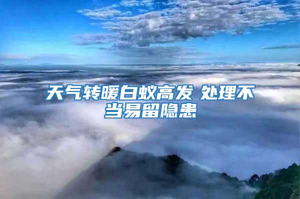 天氣轉暖白蟻高發　處理不當易留隱患