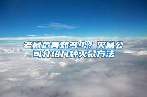 老鼠危害知多少？滅鼠公司介紹幾種滅鼠方法