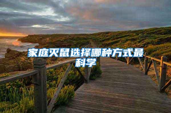 家庭滅鼠選擇哪種方式最科學(xué)