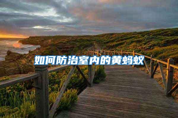 如何防治室內(nèi)的黃螞蟻