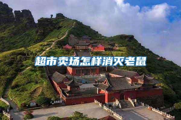 超市賣場(chǎng)怎樣消滅老鼠