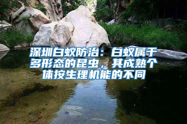深圳白蟻防治：白蟻屬于多形態的昆蟲，其成熟個體按生理機能的不同