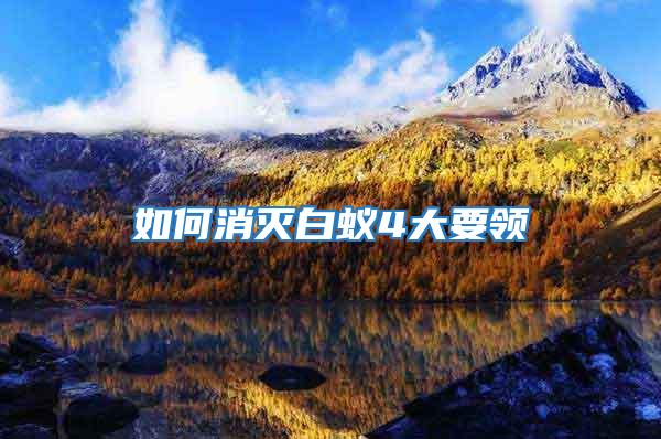 如何消滅白蟻4大要領