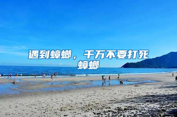 遇到蟑螂，千萬(wàn)不要打死蟑螂