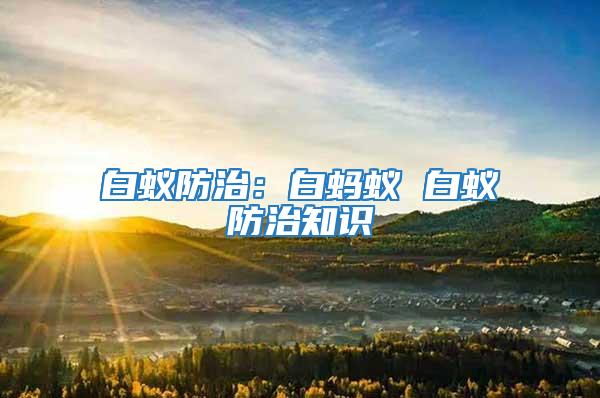 白蟻防治：白螞蟻 白蟻防治知識(shí)