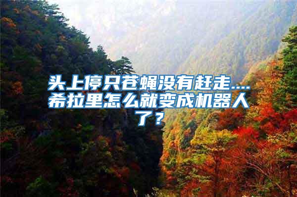 頭上停只蒼蠅沒(méi)有趕走....希拉里怎么就變成機(jī)器人了？