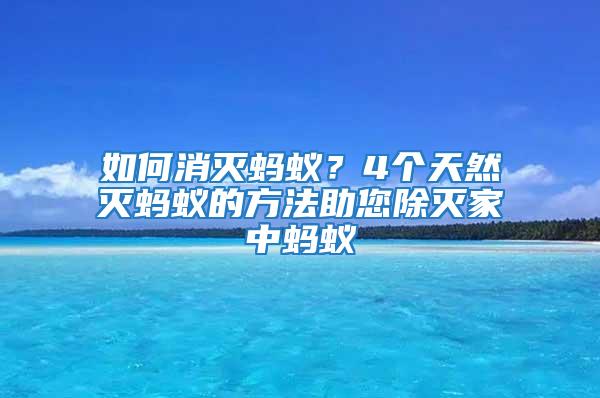 如何消滅螞蟻？4個天然滅螞蟻的方法助您除滅家中螞蟻