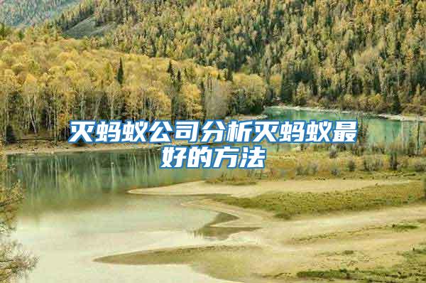 滅螞蟻公司分析滅螞蟻?zhàn)詈玫姆椒?/></p>
             <p style=