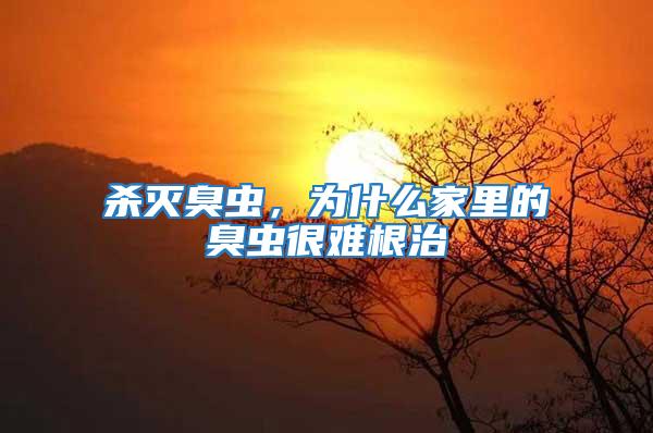 殺滅臭蟲，為什么家里的臭蟲很難根治