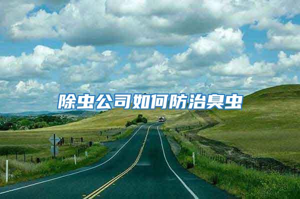 除蟲(chóng)公司如何防治臭蟲(chóng)
