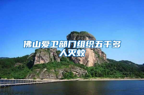 佛山愛(ài)衛(wèi)部門組織五千多人滅蚊