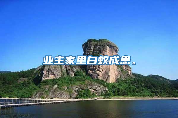 業主家里白蟻成患。