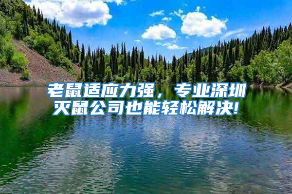 老鼠適應力強，專業深圳滅鼠公司也能輕松解決!